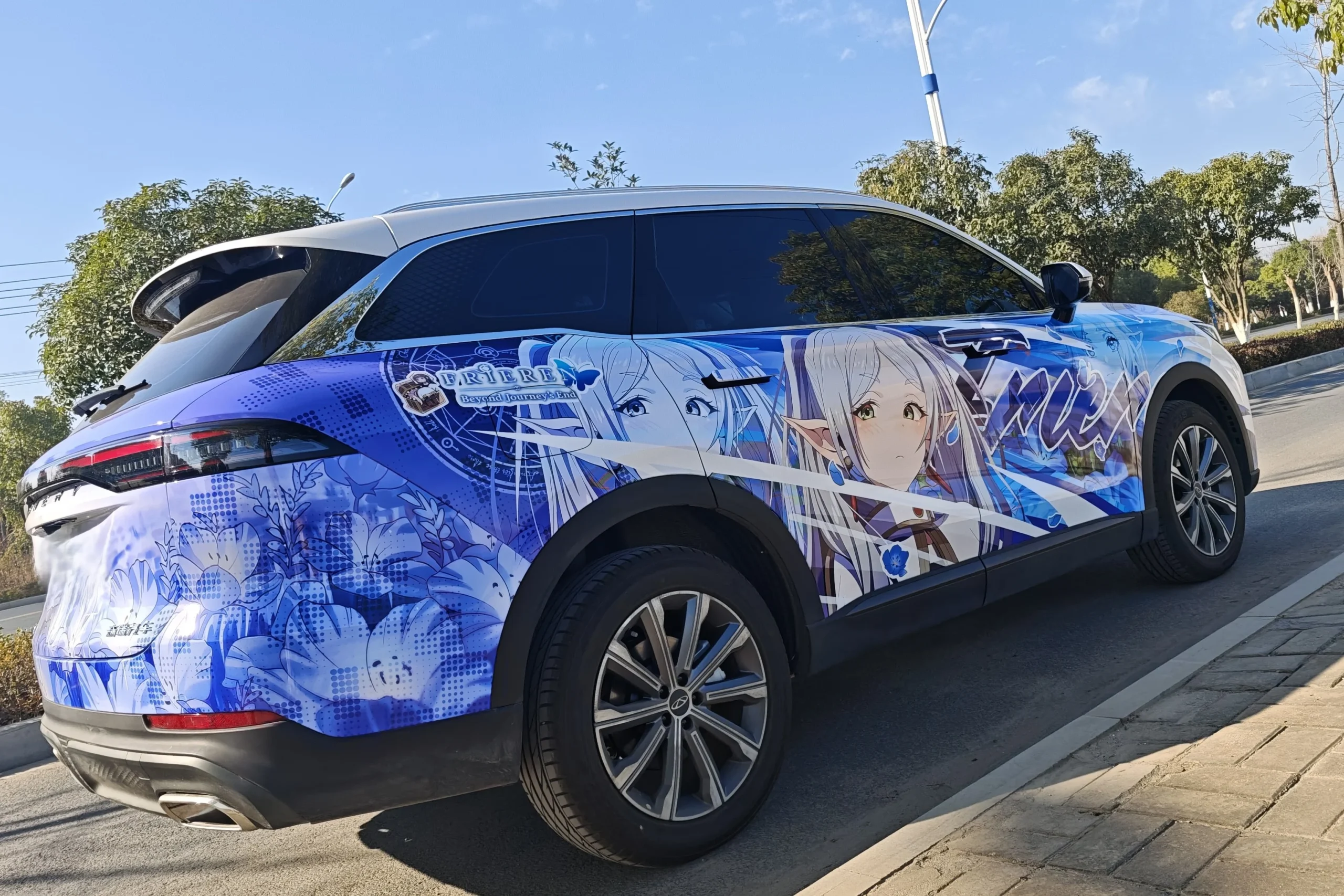 Frieren: Beyond Journey's End [Itasha-21] photo review