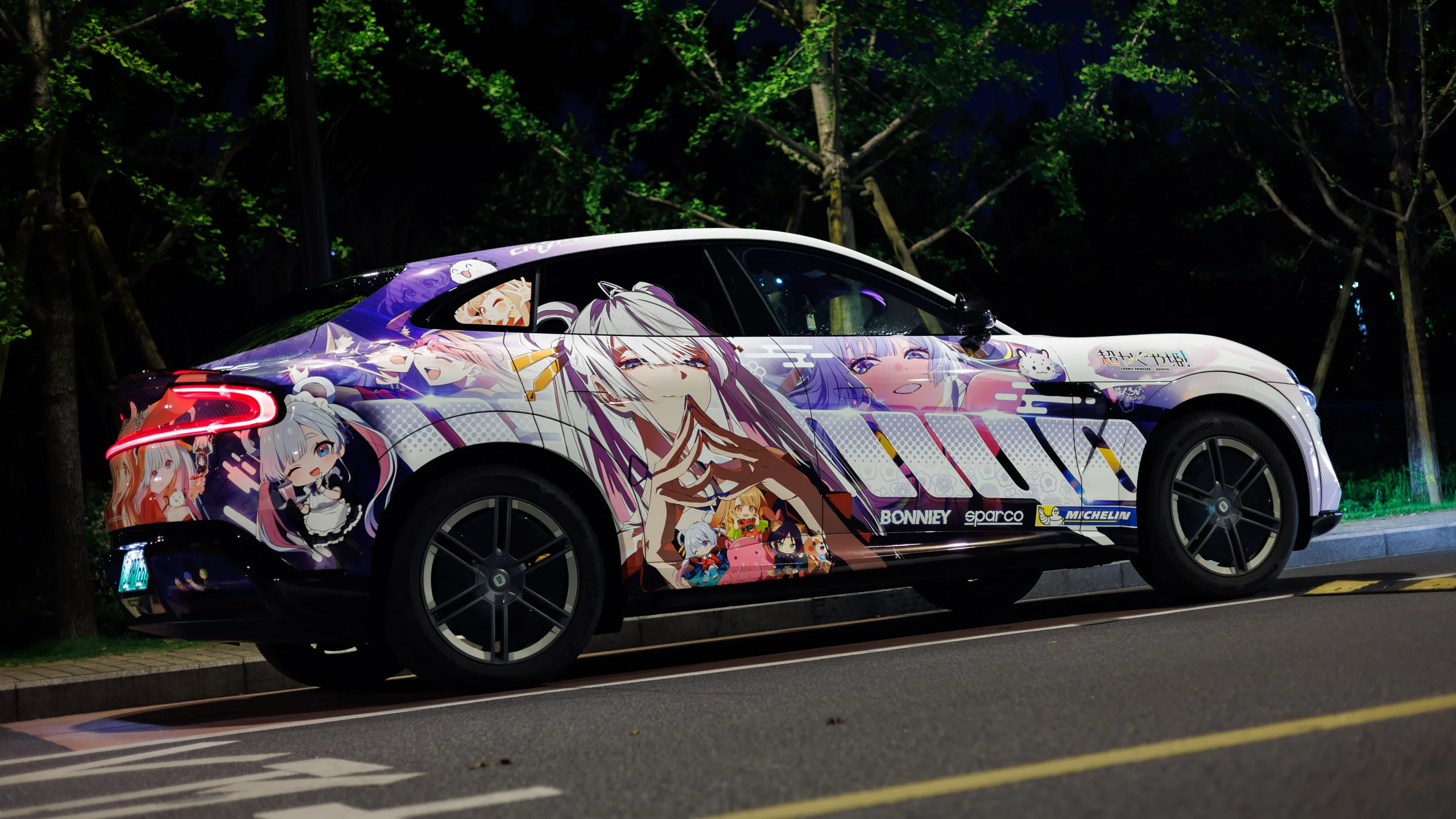 Frieren & Runami Yachiyo Frieren: Beyond Journey's End × Cosmic Princess Kaguya! [Itasha-39] photo review